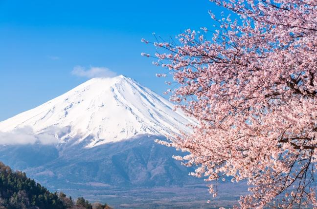 尼日利亚海运 尼日利亚海运